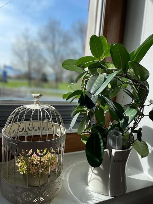 Ferienwohnung Familie Ahrend Wernigerode Extérieur photo